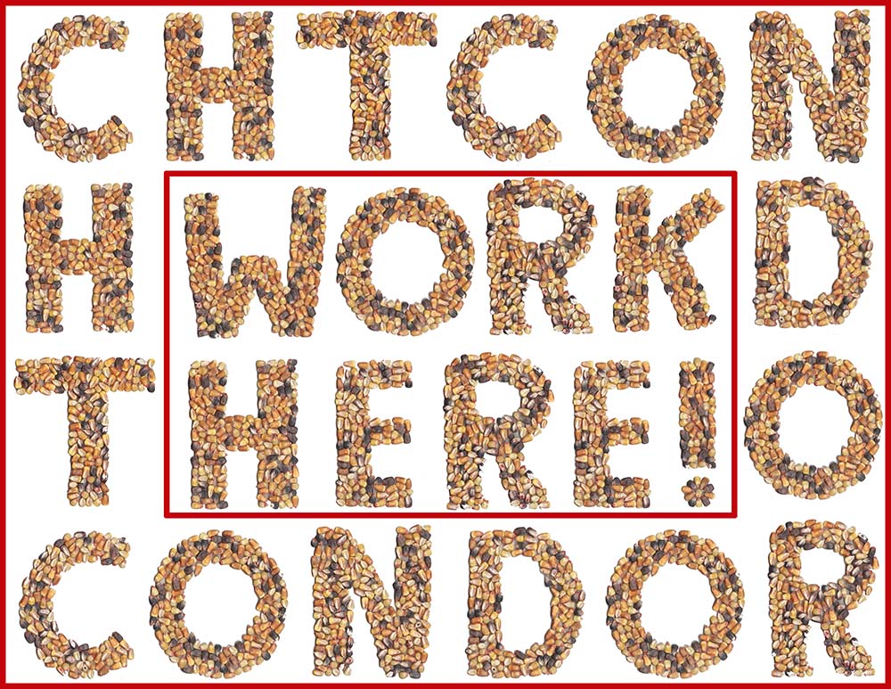 Work At CHTC
