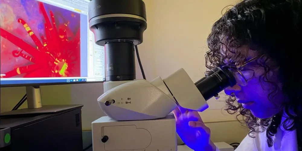 Hannan Shabaan looking through a fluorescence microscope next to a monitor showing a sea anemone